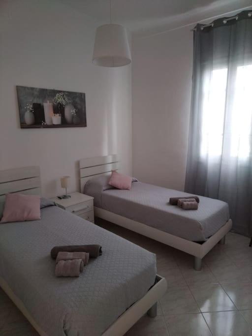 Casa Noemi, A Pochi Passi Dalle Spiagge E Dal Centro Di Arma Di Taggia. Exterior foto